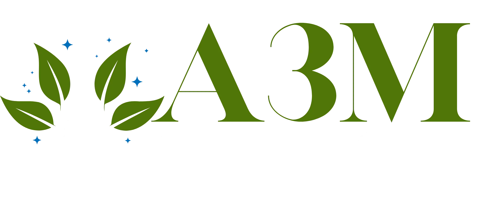 A3M Services